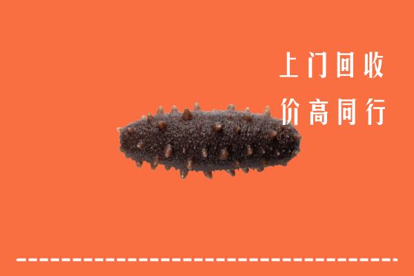 高价求购：乌兰察布察哈尔右翼前旗回收海参