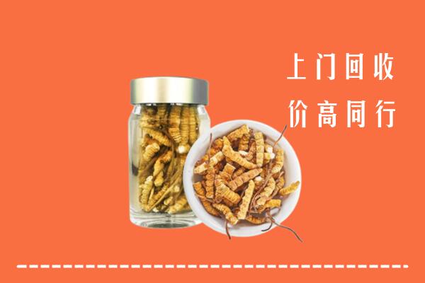 乌兰察布察哈尔右翼前旗回收冬虫夏草