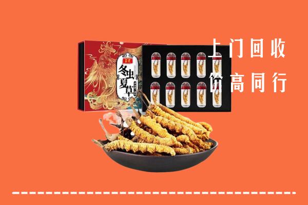 乌兰察布察哈尔右翼前旗回收虫草